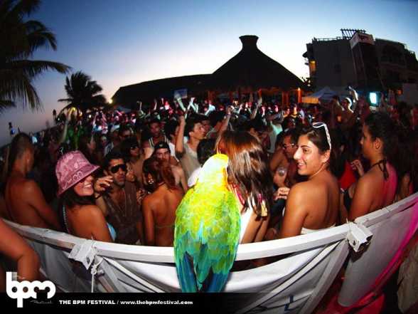 EN. 2010.DEC.31.-2011.JAN.9. BPM Festival 2011. Playa del Carmen, Mexico