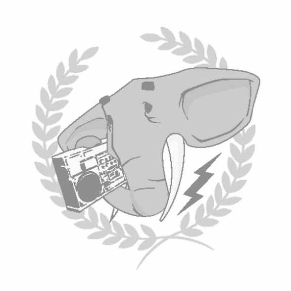 Diletantismul Ã®n mass media clujeanÄƒ