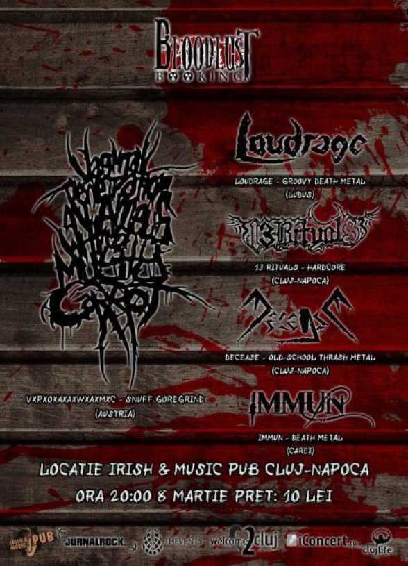 2013.MAR.8. CJ. Irish&Music Pub. Decease, Immun, Loudrage, 13Rituals, VxPxOxAxAxWxAxMxC