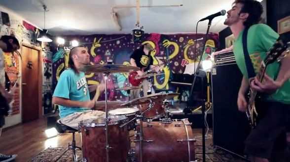 Zoo Harmonics - Looking for management