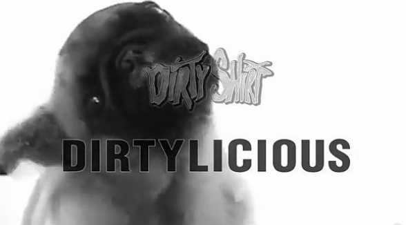 NOUL ALBUM DIRTY SHIRT. CAMPANIA DE FINANTARE PUBLICA