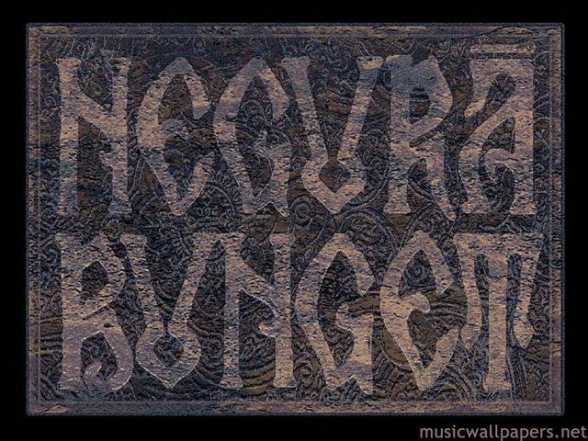 NOU CLIP. NegurÄƒ Bunget. Curgerea Muntelui