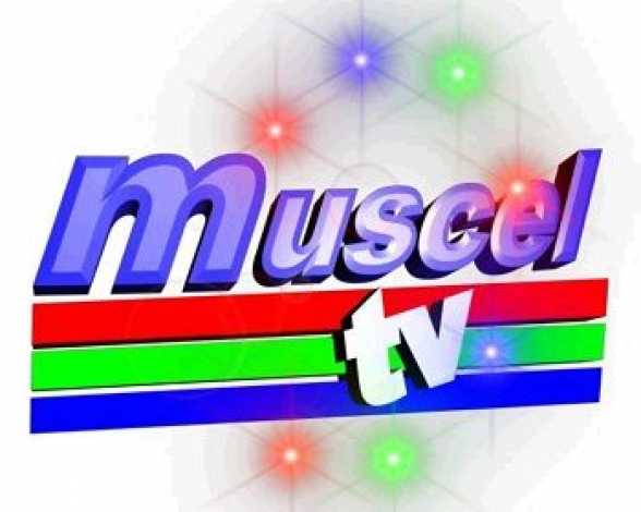 MUZICA EUROPEI la TV Radio Arthis Bruxelles retransmisÄƒ la MUSCEL-TV